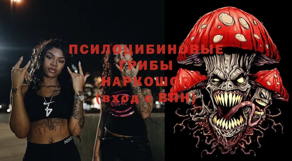 тгк Арсеньев