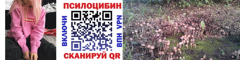 Галлюциногенные грибы GOLDEN TEACHER  Минусинск 
